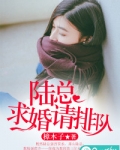 陆总，求婚请排队