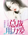 日久成瘾：总裁，用力爱