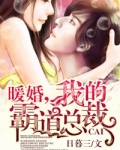暖婚，我的霸道总裁