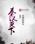 秦汉天下