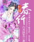 红楼春纤