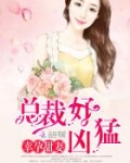 幸孕甜妻：总裁好凶猛