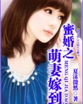 蜜婚之萌妻嫁到