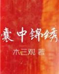 囊中锦绣