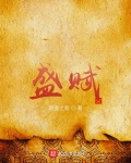 盛赋无弹窗