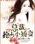 总裁抢占小娇妻