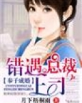 奉子成婚，错遇总裁上司