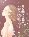 宠妻无度：权少的闪婚新娘