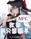 npc系列拯救世界后才是真正