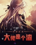 快穿反派大佬是个渣