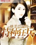 绝美总裁的特种狂兵