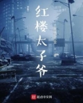 从红楼太子爷开始收录诸天