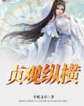 贞观纵横