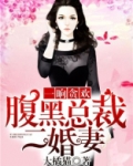 一晌贪欢：腹黑总裁二婚妻