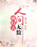 人间无数雨打去