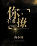 你，不准撩！