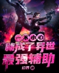 一不小心就成了异世最强辅助