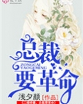 二婚娇妻，总裁要革命