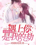 呆萌娇妻：遇上你是我的劫