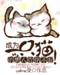 成为一只猫的男人你伤不起！