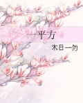 一平方