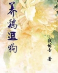 养鸡逗狗