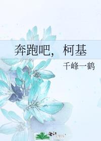 奔跑吧，柯基
