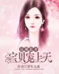 总裁追妻，宝贝宠上天