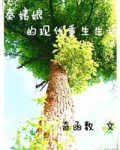 秦姨娘的现代重生生活