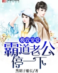 极致宠爱：霸道老公停一下