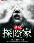 梦境探险家