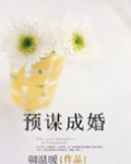 预谋成婚