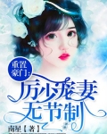 重置豪门：厉少宠妻上瘾