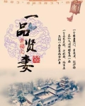 穿越之一品贤妻