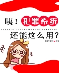 咦！犯罪系统还能这么用？