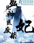 盛宠神医废柴妃
