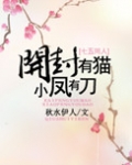 开封有猫，小凤有刀
