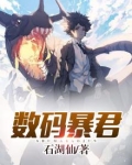 数码暴君