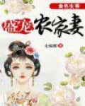 食色生香:盛宠农家妻