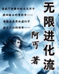 无限进化流