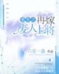 重生之再嫁末路上将