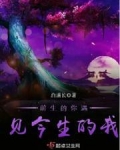 前生的你遇见今生的我