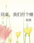 同桌，我们打个赌