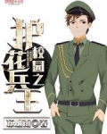 校园之护花兵王