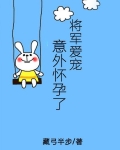 将军爱宠意外怀孕了