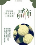 重生未来之晶师