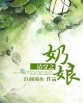 清穿之奶娘