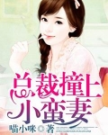 总裁撞上小蛮妻