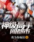 神级高手闯都市
