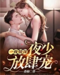 一夜情深:夜少放肆宠